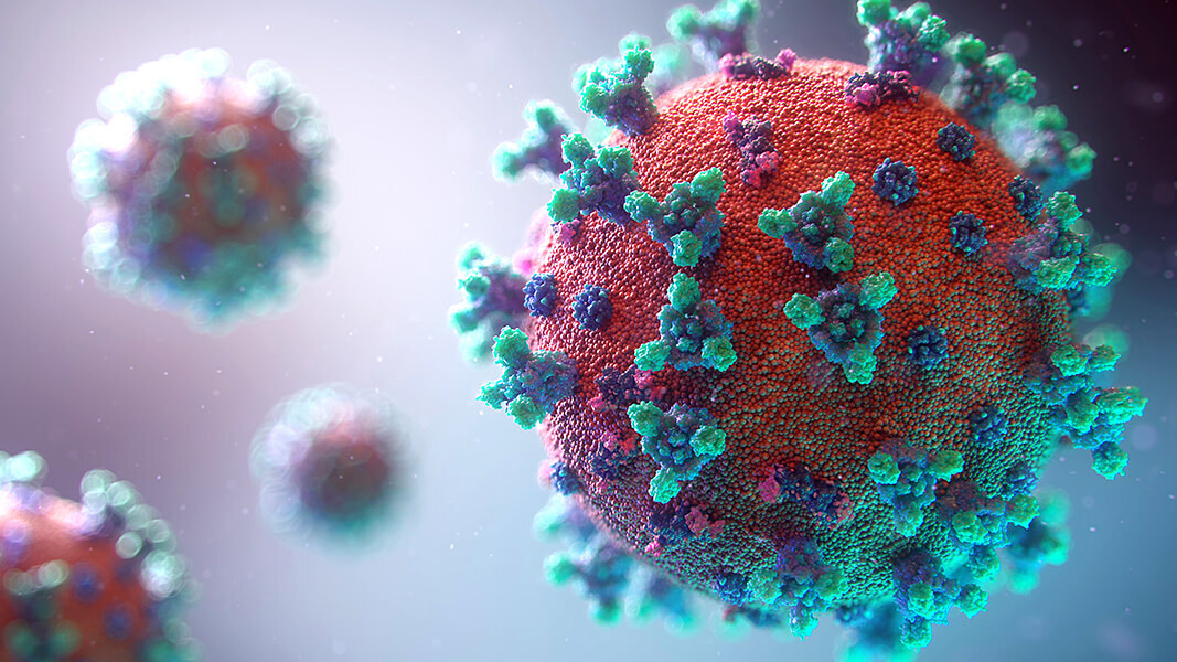 Herpes Zoster: O Que Você Precisa Saber Sobre o Cobreiro